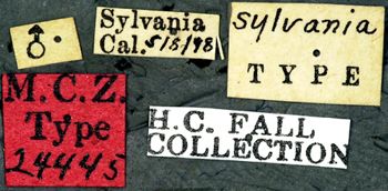 Media type: image;   Entomology 24445 Aspect: labels